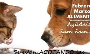 Día Animal en el C.C. Parque Almenara de Lorca