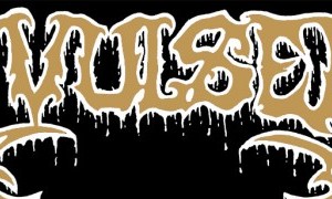 AVULSED EN MURCIA 25 ANIVERSARIO