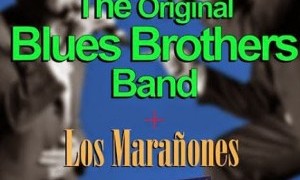 Original Blues Brothers Band en concierto