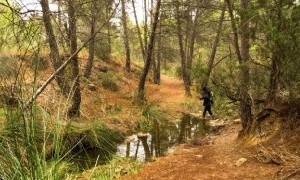 Nueva ruta de Descubriendo Moratalla para el domingo 23