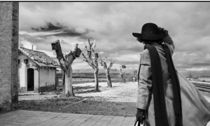 Exposición de Pablo Portillo: En Tránsito