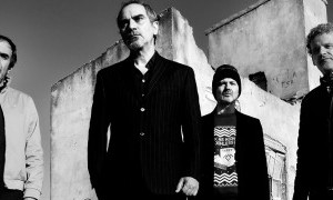 SURFIN' BICHOS EN MURCIA