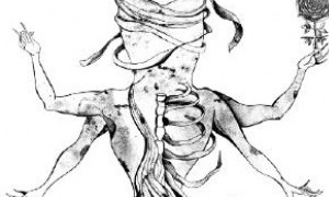 Exposición Wonderland, de Katarzyna Rogowicz