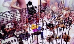 Exposición: Una jaula para vivir, en Cartagena