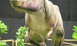 Exposición 'Days of the Dinosaur' en el C.C. El Tiro