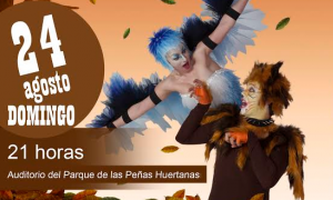 Musical El Gato y La Golondrina