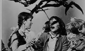 Filmoteca Regional del 2 al 8 Dic. 