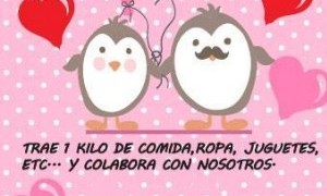 Mercadillo Solidario 