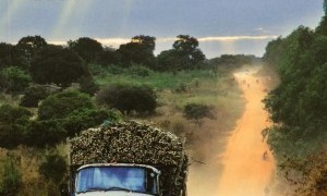 Mathias Gómez Martial expone sus imágenes sobre Africa en Los Molinos