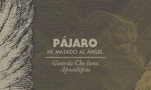 PÁJARO EN MURCIA MICROSONIDOS 2017