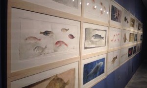 Exposición de pintura “Peces”