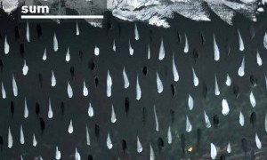 Actividades Culturales de la Universidad de Murcia