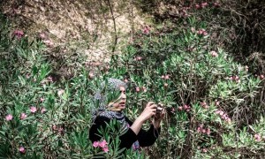 Exposición del proyecto Zelij